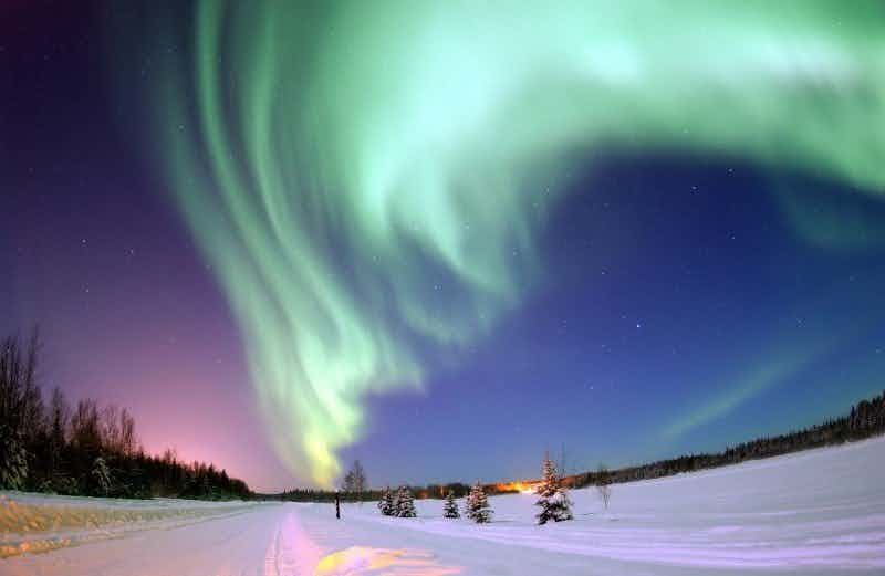 aurora borealis in winter sky